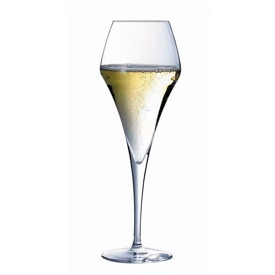 Tulp Champagne Glas